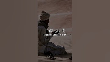 الشيخ :رعد الكردي [] سورة التغابن : الآيه : {11}🌹🤍