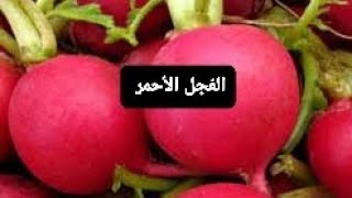 يساعد في خفض ضغط الدم للأشخاص الذين يعانون من ارتفاع ضغط الدم الفجل_الأحمر