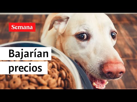 Esto le interesa: concentrados para mascotas serían excluidos del IVA | Semana