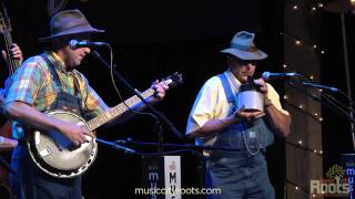 Tennessee Mafia Jug Band "Turkey In The Straw" chords