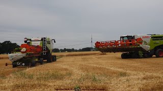 Claas - Fendt - Hawe / Getreideernte - Grain Harvest 2023