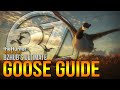 BZHub's ULTIMATE Goose Guide! Concepts, Setups, Locations & MORE! (theHunter: Call of the Wild)