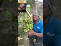 jamani naombeni sapoti yenu mni sabuslabe like naombeni sapoti