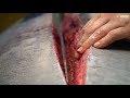 $11000 Tuna SUSHI SASHIMI - Tokyo Tsukiji Fish Market JAPAN