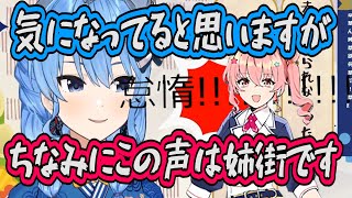 すいちゃんの使う謎のスタンプボイスの声が姉街だった【ホロライブ切り抜き】