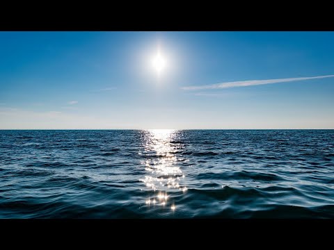 Vídeo: Com Es Diferencia El Llac Del Mar I L’oceà