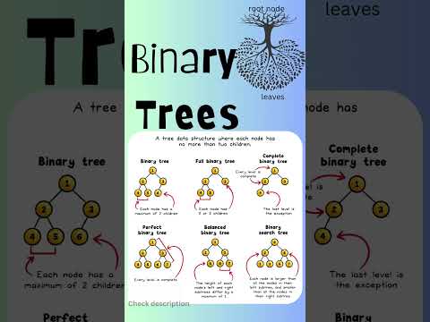 Binary trees explained