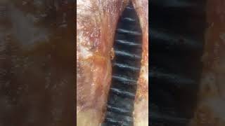 Delicious Mbuzi Choma 