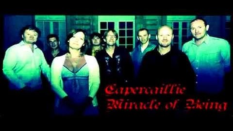 Capercaillie-Miracle of Being (Youth remix)