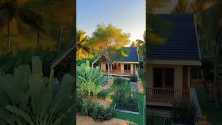 From Orchard Plot to Thai Garden Home — 60s Transformation | AI House Timelapse