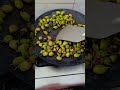 chana #easy #education #learning #viralvideo #trending #youtube #cooking #food #cook