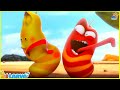 LARVA Season 1 Episode 213 ~ 315 | Best Cartoons 2022 | Comics | Hilarious Cartoon Compilation