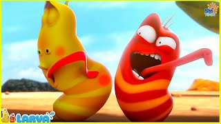 LARVA Season 1 Episode 213 ~ 315 | Best Cartoons 2022 | Comics | Hilarious Cartoon Compilation