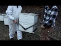 Moving Bees By Hand