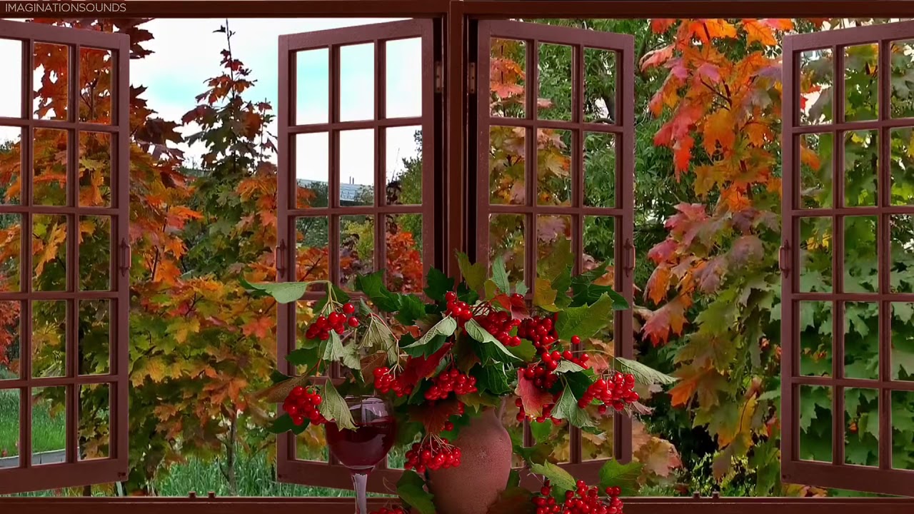 Window view video - bird nature sounds, for sleeping or chilling - 15mins | tiktok window trend