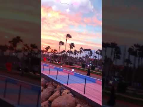 تعب المشوار وفيق حبيب