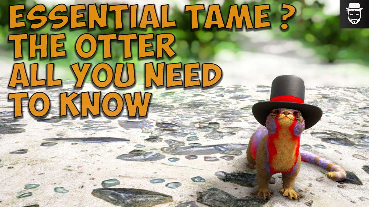 The Otter Everything You Need To Know And Its Secret Abilities