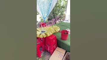 Quá trình hoàn thành cổng cưới lá dừa #wedding #cổng cưới rồng phụng Hồng biên