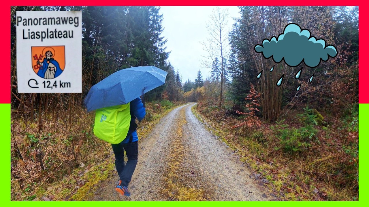 Panoramaweg Liasplateau in Rottweil-Neukirch | bei permanent leichtem Dauerregen 🌲🌧☔