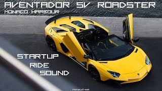 Lamborghini Aventador SV Roadster STARTUP - RIDE - SOUND