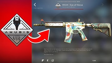 IS IT WORTH IT? NEW Anubis Collection Case Opening CSGO