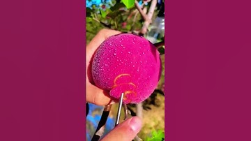 سوره الرحمن Surah Rahman/ #quran سورۃ الرحمٰن #subscribe #apple