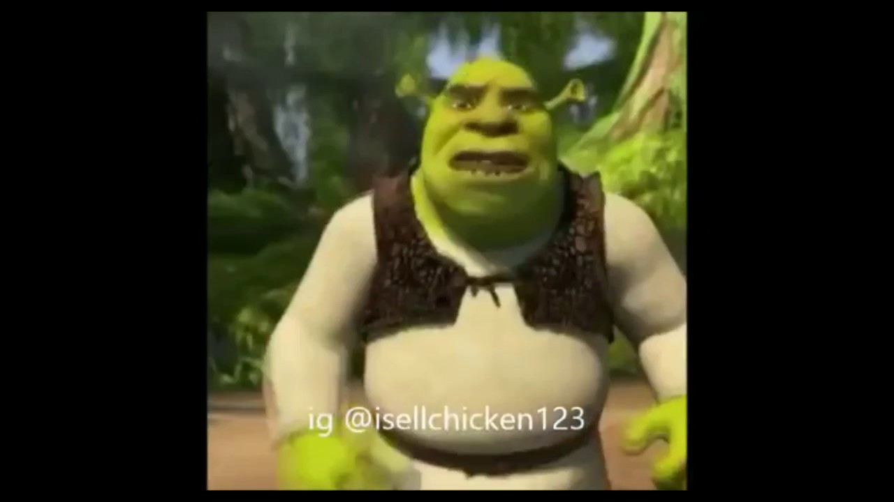 Dank Memes Shrek Edition ʖ Clean Youtube