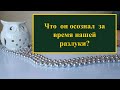 Что он осознал за время нашей разлуки? Таро расклад