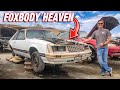 Finding EVERYTHING For My Foxbody In a Junkyard!