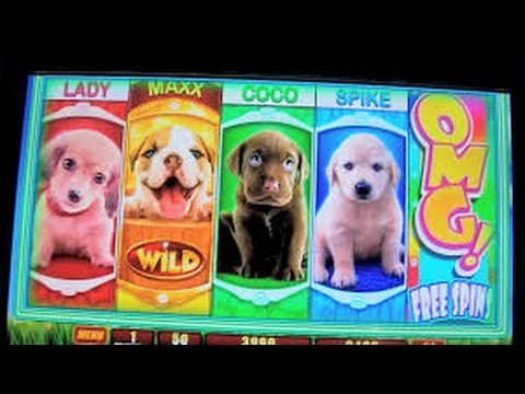 Slots gratis para diversao Wild Times Slots gratis para diversao Wild Times
