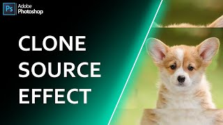 Clone Source Effect In Photoshop cc 2021 | Photoshop Tutorial | Clone Tool screenshot 4