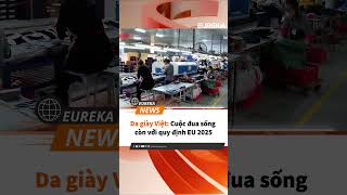 Luật chơi mới từ EU: Doanh nghiệp Việt cần thay đổi ngay