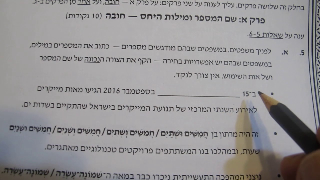 שם המספר ומילות היחס פתרון בגרויות ב'