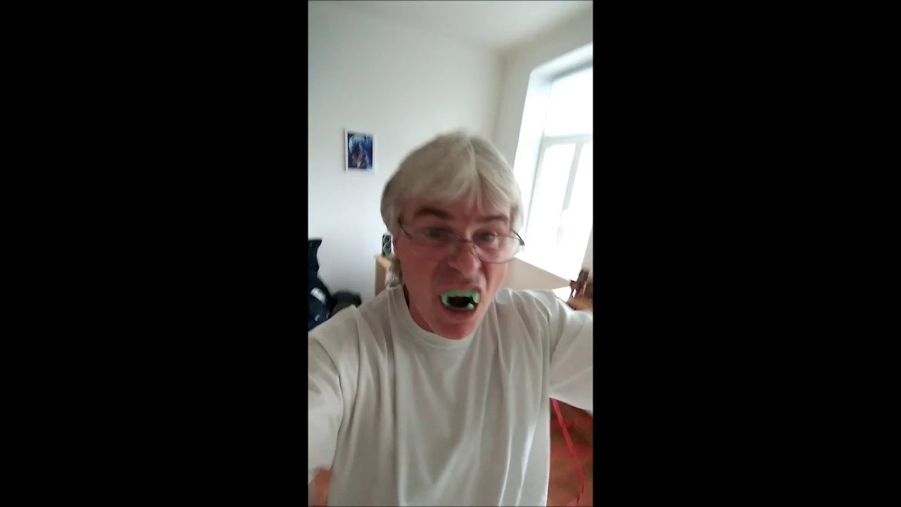 vampir singt what is love