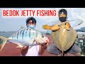 Surf Fishing at Bedok Jetty | Golden Trevally and Stingray | Fishing in Singapore