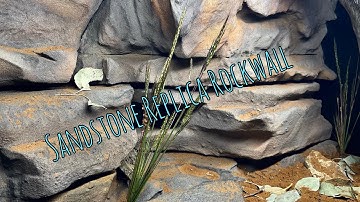 How to Build Naturalistic Enclosure for Childrens Python