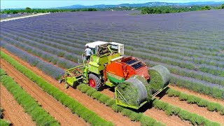 Lavender Harvest In Round Bales Valensole France Unique Self Propelled Harvester