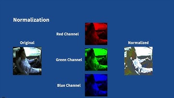 Distracted Driver distraction