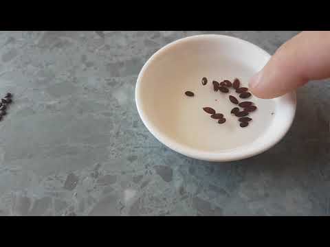 Video: How To Grow Acacia