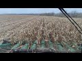 JOHN DEERE S770i уборка кукурузы средней урожайности  GERINGHOFF 5.6