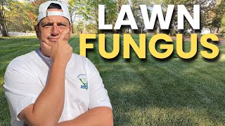 When to START a Preventative Fungicide Program