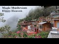 MAGIC MUSHROOM MOUNTAIN VILLAGE  - San Jose Del Pacifico