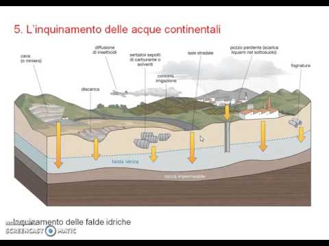 Video: Differenza Tra Inquinamento Da Sorgente Puntiforme E Non Puntiforme