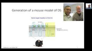 Webinar Dual AAV Gene Therapy Corrects Dravet Syndrome in Mice