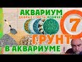 Аквариумистика. Добрые советы новичкам. Грунт в аквариуме.