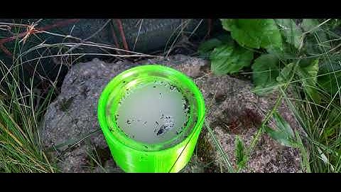Mosquito, bug, ant trap with chemical - light - electrical extension options