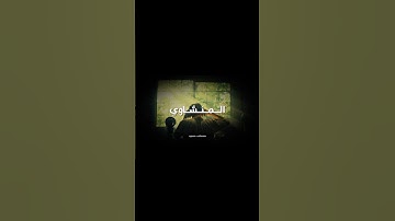 اكتب شئ تؤجر عليه😴✨ #المنشاوي #تلاوة_خاشعة #تلاوة_مؤثرة #محمد_صديق_المنشاوي