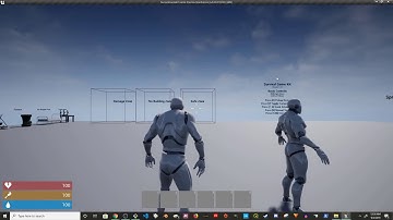 UE4 - Character Storage Capability (Survival Game Kit)