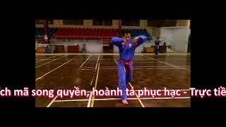 Ngọc Trản Quyền Pháp _ Vovinam Việt Võ Đạo screenshot 5