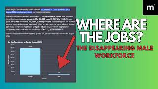 The Disappearing Male Workforce: Reality vs. The Narrative screenshot 1